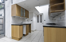 Black Torrington kitchen extension leads